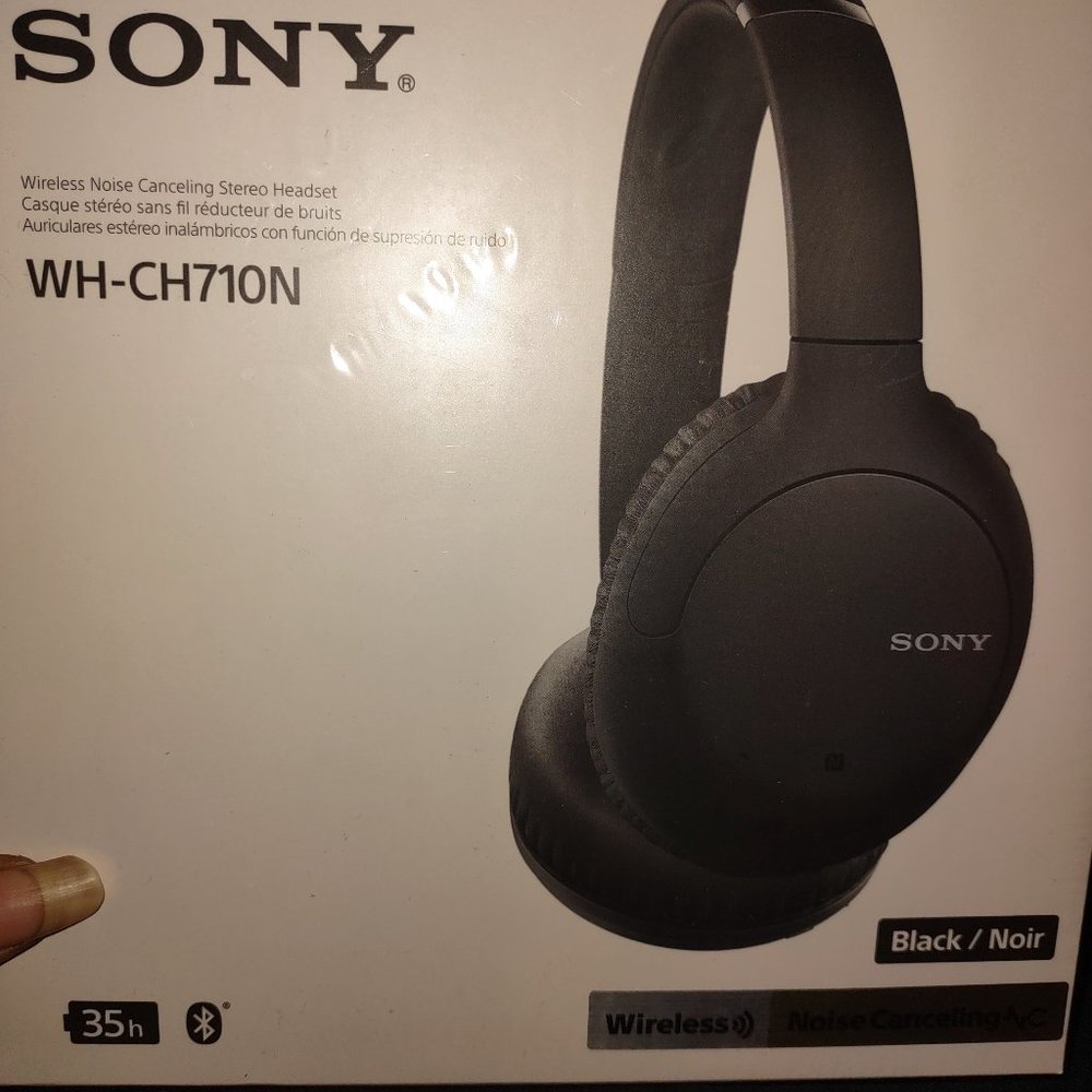 Sony Earphones